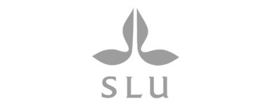 The Workplace Adequacy™ Framework